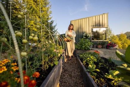 �������� �������: ��� ������� ����� ��� ������� � �������� �������� ������