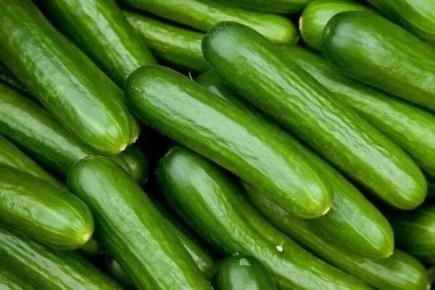 ��� ��������� ������ ����� �������: ������� ��������� ������