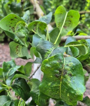 �������� ����: ��� �������� ����� �� ���������