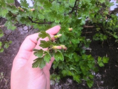 ��� �������� ��������� ���� �� ����������: ������ �� ���������