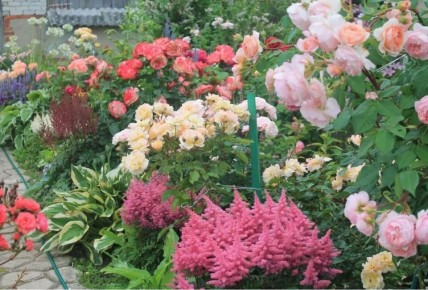 ������� ���������� �������: ����� �������� �������� ����� � ����