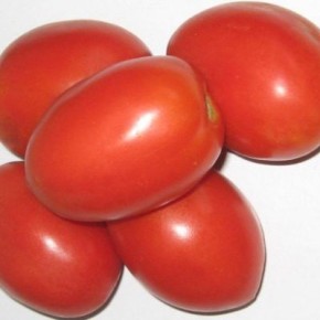 ����� "������-��������": ��������� �������� ��� ������ �������