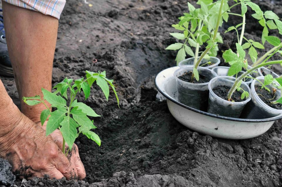 ������� ��� ��� �������: ����� ����� �������� ������ �� ������� � ���