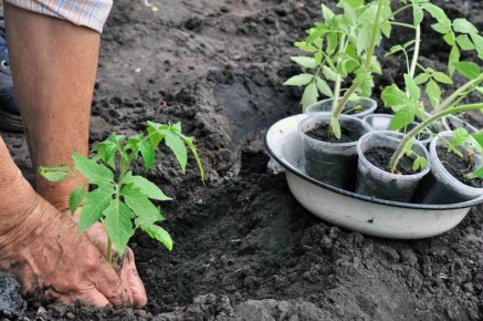 ������� ��� ��� �������: ����� ����� �������� ������ �� ������� � ���