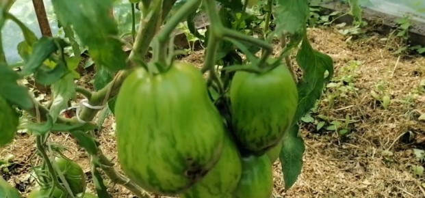 ��������� ����� �� ���������: ��� ������?