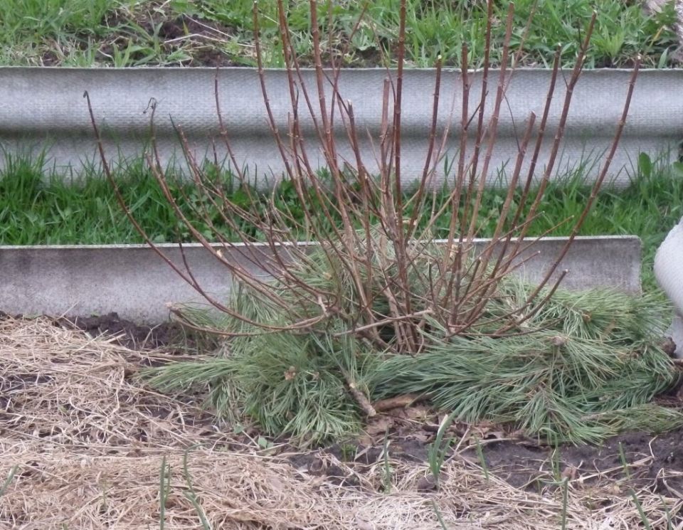 ������ �� ����: ��� ����� ����� � �� ������ � ��������� �����������