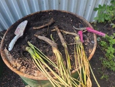 ������ ������ �������: ��� ���������� � ����������� ������