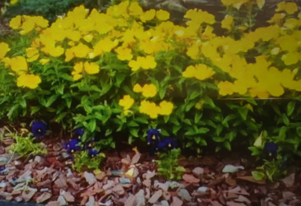 ������������ ������ ������: �������� �������� �� ��������� ������