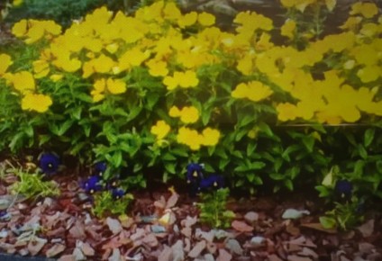 ������������ ������ ������: �������� �������� �� ��������� ������