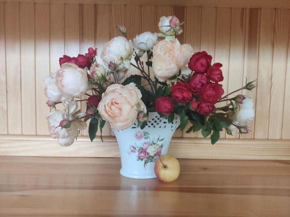 ��� ������� �������� ��������: ������� ��������� ��������� ��������