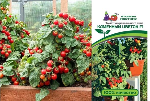 ���������� �������: ��� ������� ��� �������� �������