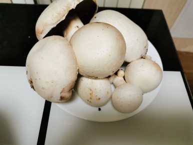 ����������� ������ ����: ������ � �������