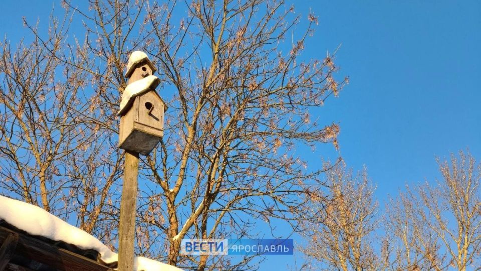 ������ ����, ���������!. ���� �������� ��-���������� �������� � �������� ����������� ���������� �� 22��, ��� ��� ���� ����� ��������