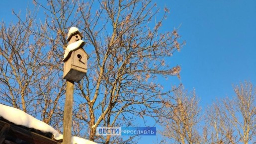 ������ ����, ���������!. ���� �������� ��-���������� �������� � �������� ����������� ���������� �� 22��, ��� ��� ���� ����� ��������