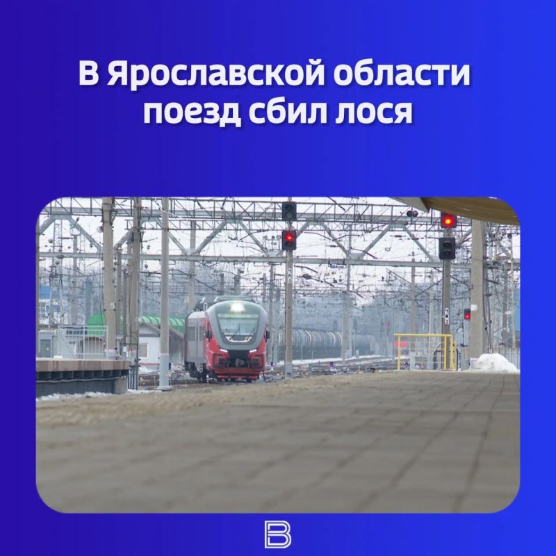 � ����������� ������� ����� ���� ����