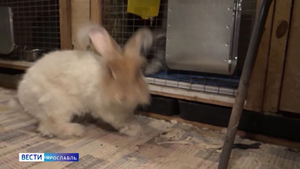 ���� ����� ��������� ������ �� ������ �����