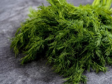 ������� �����: ��� ����� � ����� �������� ������ � ��������