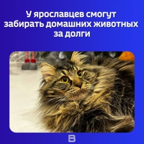 � ������������ ���������� ������ �������� ��������� ����������: ������� ��������, �� ������ � ��������� �������