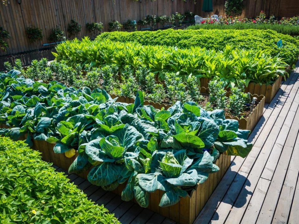 ������� �� ������� ������: ������� � ������ � ����� �������