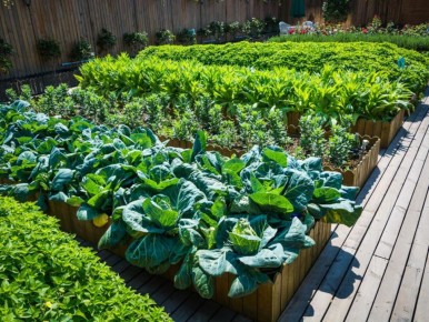 ������� �� ������� ������: ������� � ������ � ����� �������