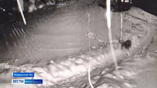 � ������� ��� ��������� ���������� �����, ���������� ������