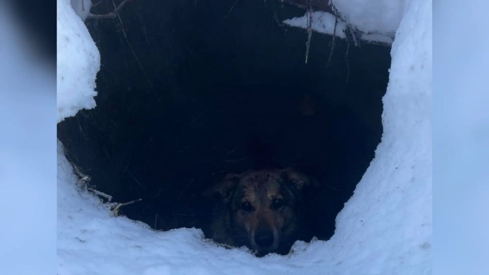 � ������� �������� � �������� ��������������� ��� ���� ���