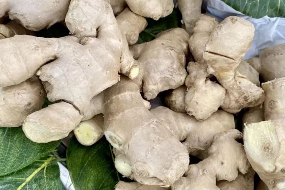 ��� ��������� ������� � �������� � �������� ����� ����: ������� ������� �������