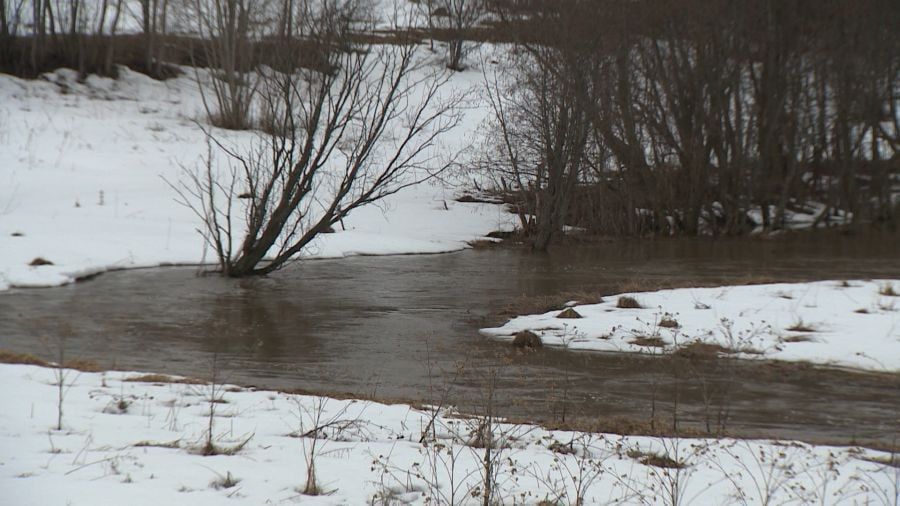 � ����������� ������� ��������� � �������