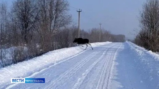 � ������������� �������� ��������� ����� �������� ����