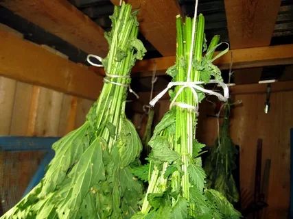 ��������� �����: ������� ������ ��� �������� � ������������ � ����