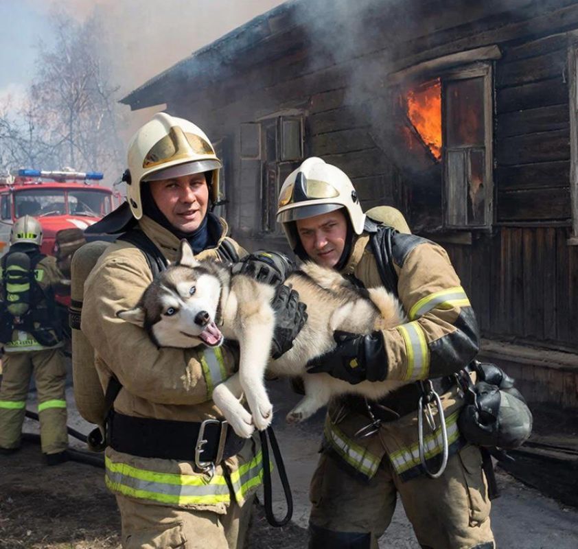 �������� ������ �� �������� ���� ��� ���������� ������