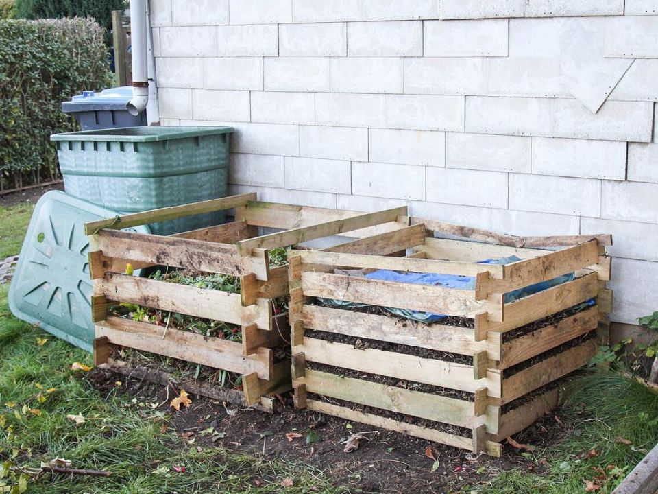 ���������� ���: ������ ��������� ������ � ���������� �������