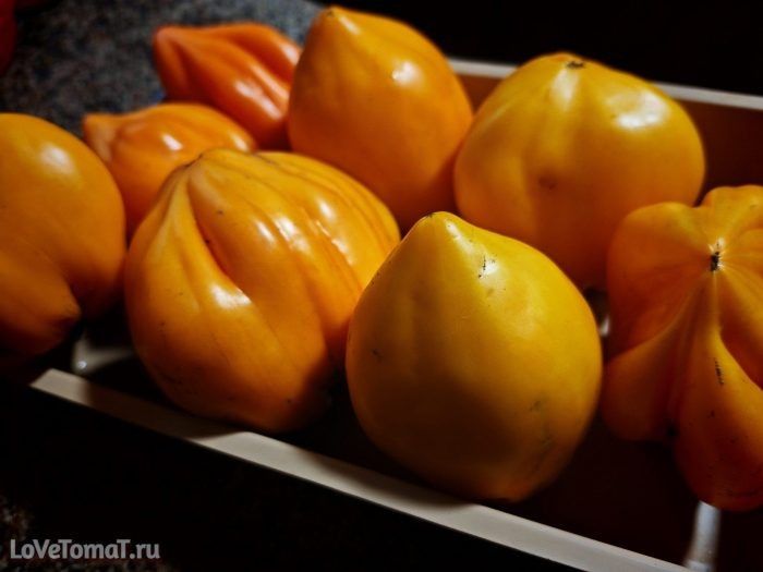 ����� ������ ������: ��� ��������� ��������� ���� � ����������