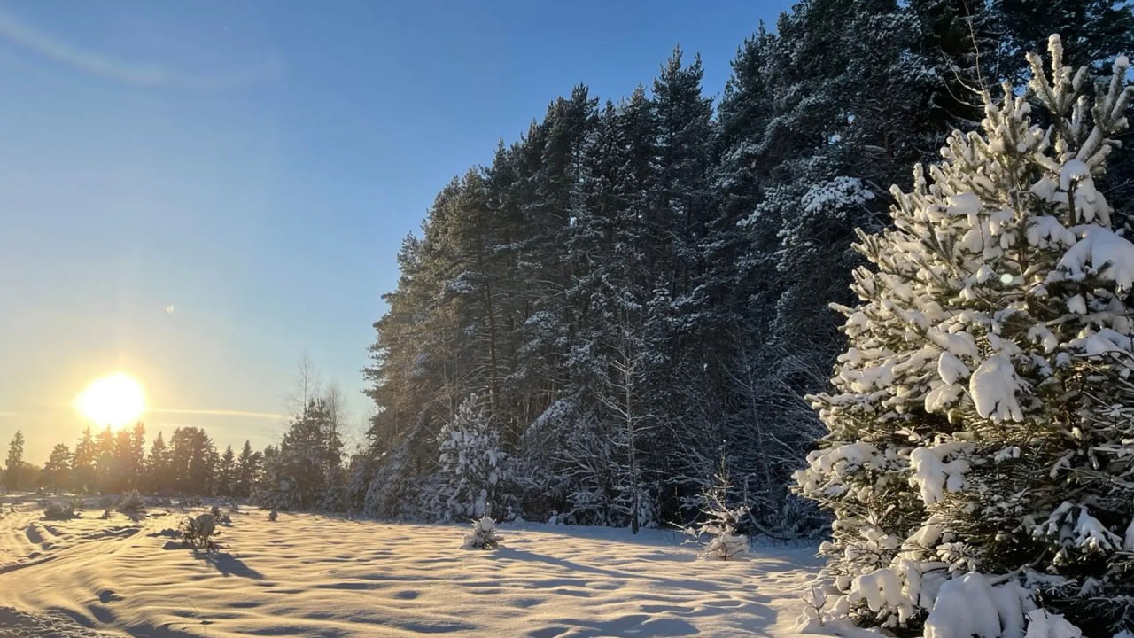 Ярославцев предупреждают о температурных качелях на выходных