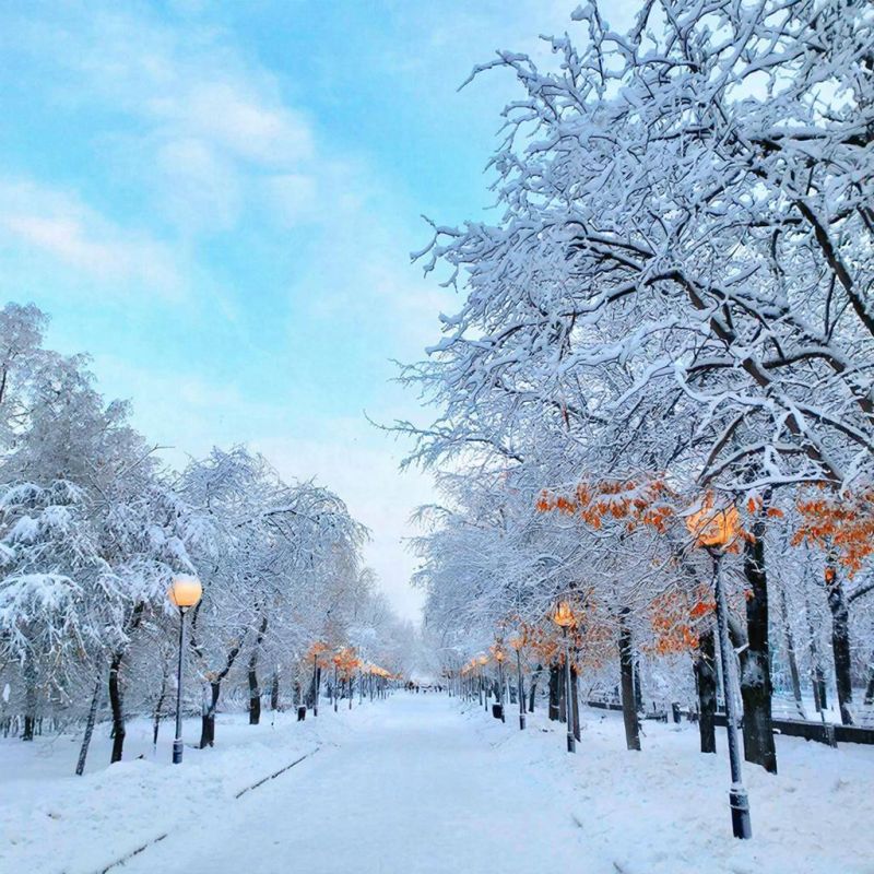 ��� ������ ����� �� �������� ������: ��������� �������� ����������� �������� ���� ��������