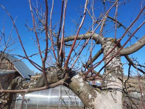 ����� � �������: ��� ����������� �������� � �������