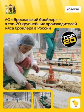 ��������� ������������ ����� � ���-20 �������������� ��������� � ������