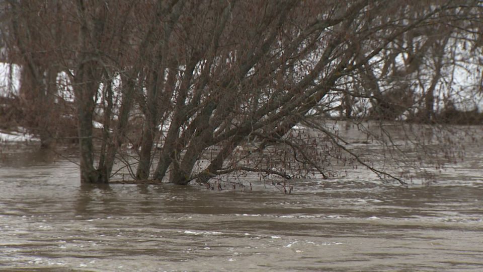 � ����������-��������� ������ ���������� � ��������� �������