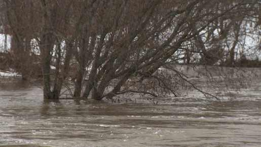 � ����������-��������� ������ ���������� � ��������� �������