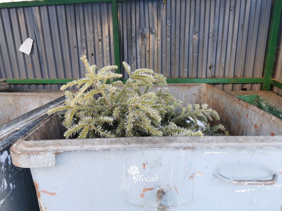 ��� �� ����� ���������� ������������� ������ �������� �� ����� �������: ��������� ���������� �������