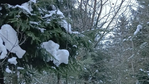 ������� ����������� ������� ������������� �������� �������