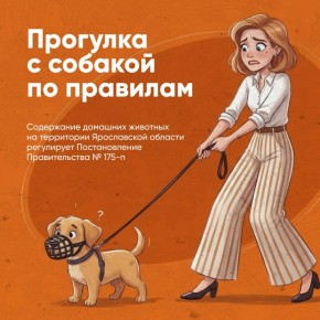 ������ ����� ���������� �� ��������