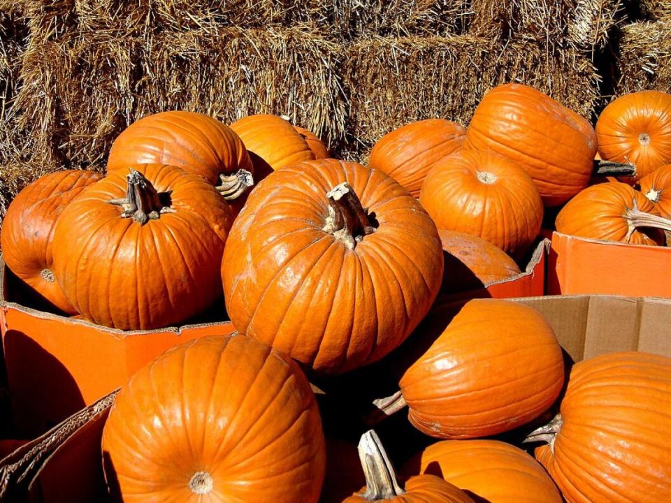 ��� ��������� ������� ���� ��� ������� ����: ������� ��������� ������