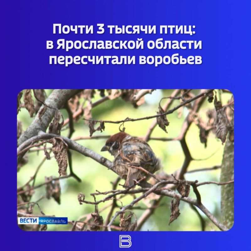 ��������� ����� ������������� ����� �������� �� �������