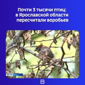 ��������� ����� ������������� ����� �������� �� �������