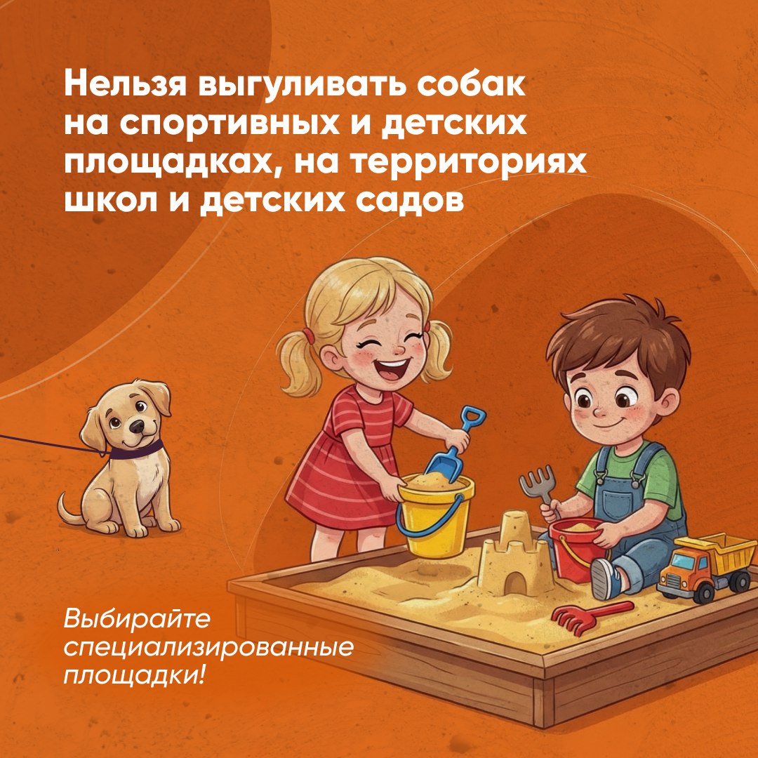 Собаку нужно выгуливать по правилам Собаку нужно выгуливать по правилам