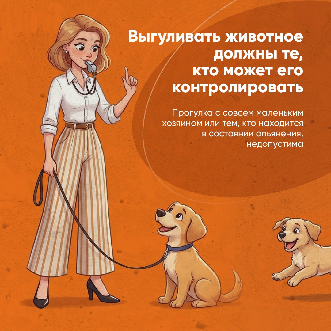 Собаку нужно выгуливать по правилам Собаку нужно выгуливать по правилам