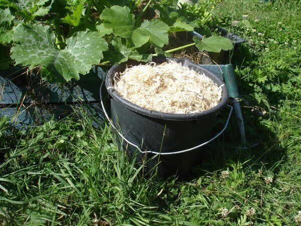 ������ � �������: ��� �������� ������ � �������� ������������ ������