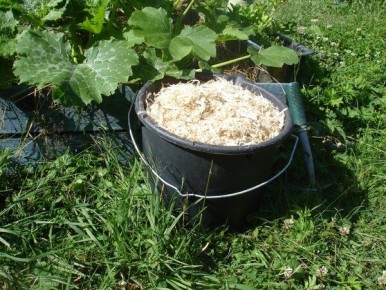 Опилки в огороде: Как избежать ошибок и получить максимальную пользу