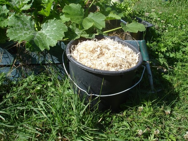 Опилки в огороде: Как избежать ошибок и получить максимальную пользу